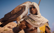 Bayek with Senu