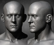 ACOD Hippokrates Head Sculps - Sabin Lalancette