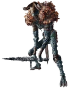 巴罗尔在数据库中的图像