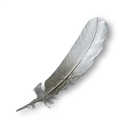 Federn Assassin S Creed Wiki Fandom