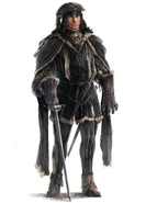 维耶里·德·帕齐的概念艺术