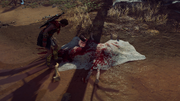 Kassandra investigating a corpse