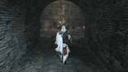 Capobranco 9.png (2,63 MB) Ezio raggiunge la sala del tesoro.