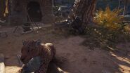 Astarte the Swamp resting with her leopard