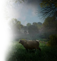 Base de données (Valhalla) Lieux Wiki Assassin's Creed Fandom