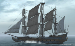 Belladonna