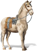 Caballo del viajero