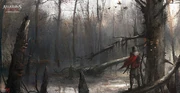 AC3L Bayou.jpg (668 KB) Aveline in the bayou