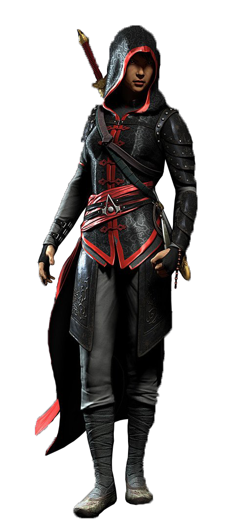 Pin em Cosplay Ideas Female Assassins Creed