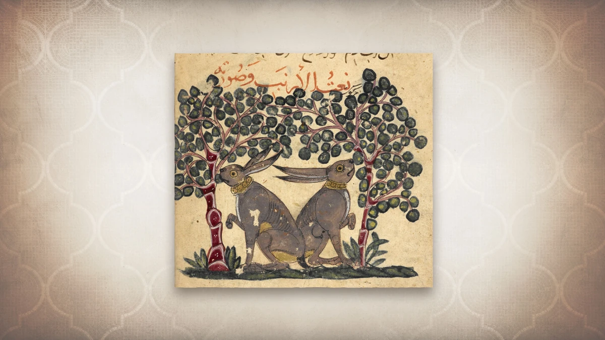 AlJahiz Assassin's Creed Wiki Fandom