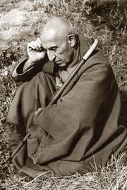 Mohammad Mosaddegh