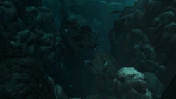 AC4 The Black Trench