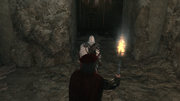 Ezio and Leonardo exploring the catacombs