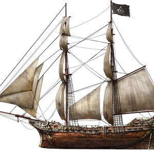 Jackdaw Assassin S Creed Wiki Fandom