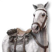 ACMir Al-Zill (The Shadow)