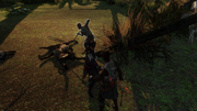 A group of followers attacking Aveline