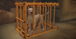 A Ming dynasty guard dog