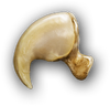 ACOD Lion Claw.png