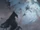 Gorączka