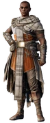 Bayek (hedj)