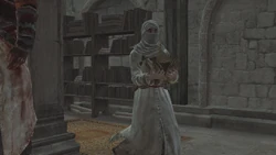 De appel uit het paradijs in zijn omhulsel.