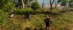 Bayek finds the crocodile Abar mentioned