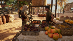 ACO Conflicts of Interest - Bayek speaking to merchant