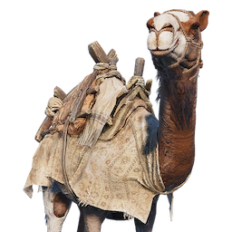 Camel Assassin S Creed Wiki Fandom