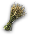 ACOD Barley Crops.png