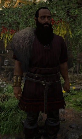 ACV Braun
