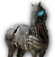 ACOD Equine Enforcer