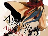 Assassin's Creed: Awakening