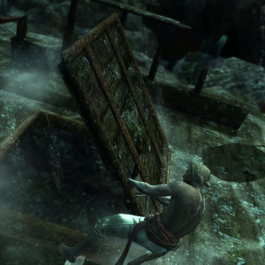 Diving For Medicines Assassin S Creed Wiki Fandom