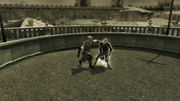 Ezio and Mario in combat