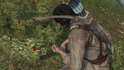 年轻的拉通哈给顿调查猎物的线索