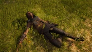 Artazostre dead