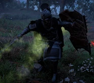 Ревнитель Хайки