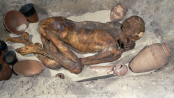 DTAE Tomb Reconstruction