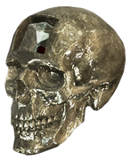 Crystal Skulls (several Skulls in Abstergo Industries custody)