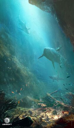 What is a Fish? /ExploringOurFluidEarth