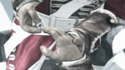 Haytham Kenway taking Edward Braddock's Templar ring