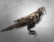 Feigr: Zu sagen, dass dieser Vogel „dem Tode nahe steht", ist ein Euphemismus für das Offensichtliche.