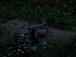 AC V Adelheid im Wunderlandscir