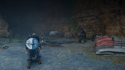 AC Valhalla The Mysterious Berserker (The Way Of The Berserker