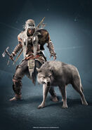 ACIII Connor loup