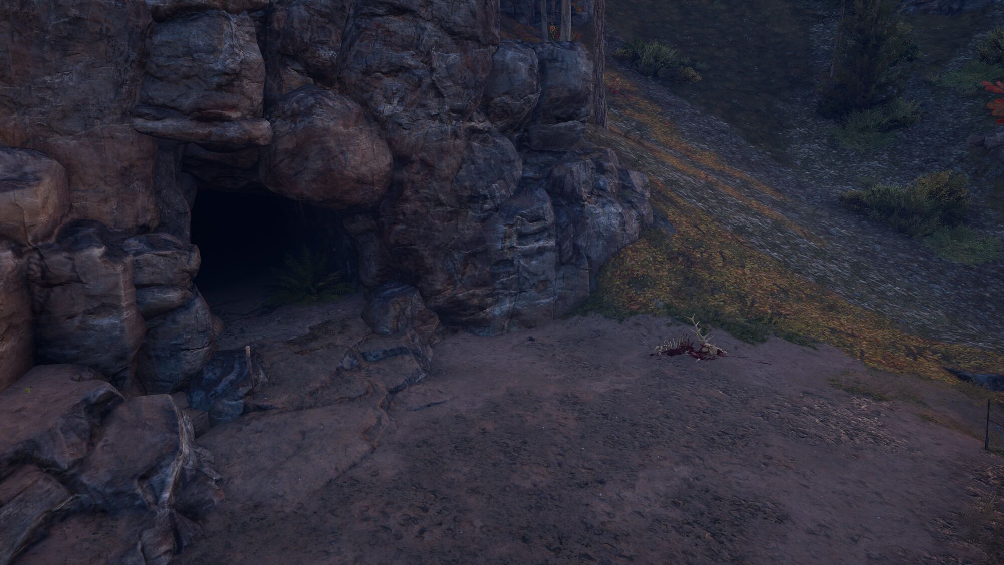Wolf Den, Phokis Assassin