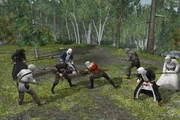 ACUtopia Combat 2.jpg (405 KB) Woodland combat