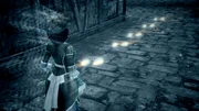 Aveline following a trail