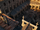 Addestramento (Unity)