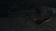 Edward assassinating the Templar